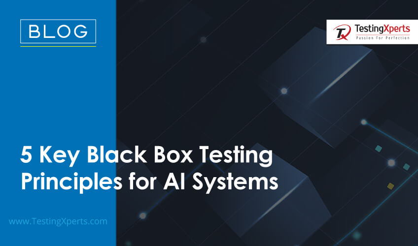 5 Key Black Box Testing Principles for AI Systems